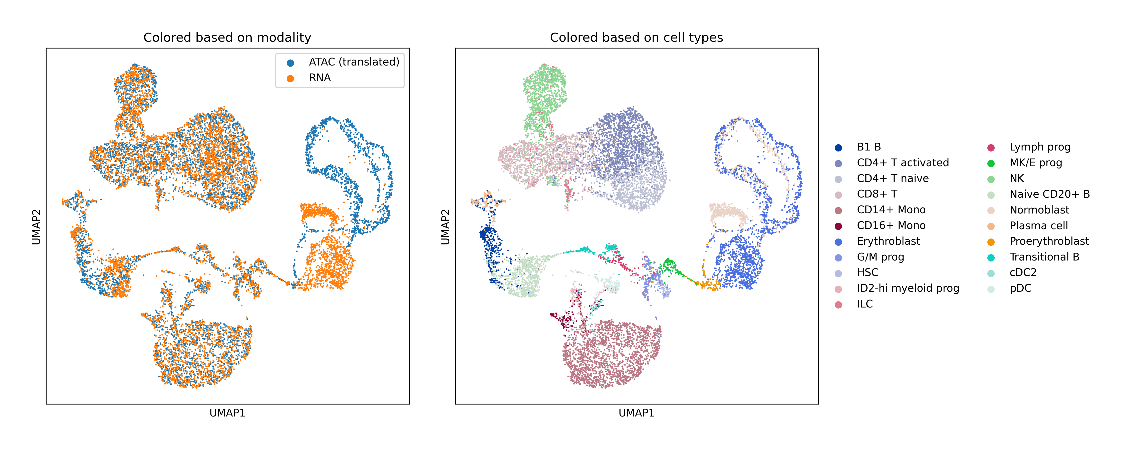 Bone marrow UMAP